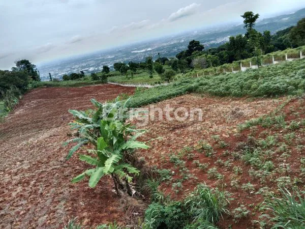 image TANAH LUAS 5 HEKTAR DI SENTUL, COCOK INVESTASI (4)