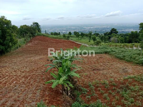 image TANAH LUAS 5 HEKTAR DI SENTUL, COCOK INVESTASI (1)