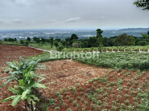 image TANAH LUAS 5 HEKTAR DI SENTUL, COCOK INVESTASI (2)