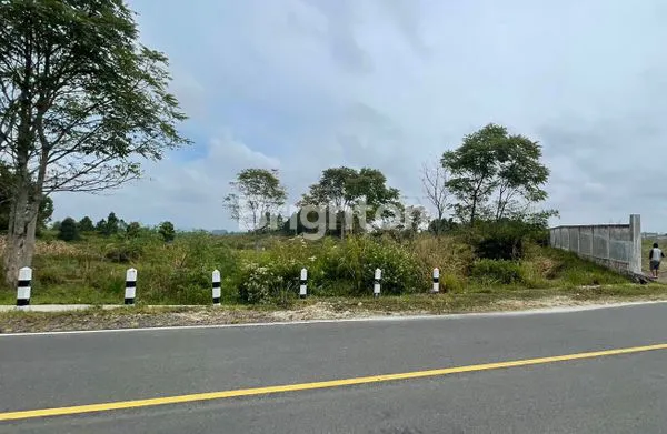 image DIJUAL TANAH (2)