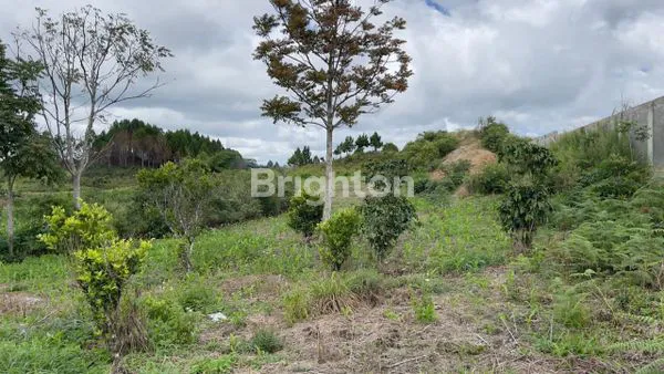 image DIJUAL TANAH (4)