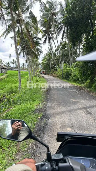 image DIJUAL TANAH PERTANIAN PRODUKTIF (1)