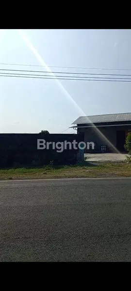 image DIJUAL GUDANG PENGGILINGAN PADI (3)