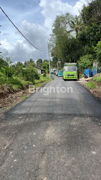 image DIJUAL TANAH PERTANIAN PRODUKTIF (5)