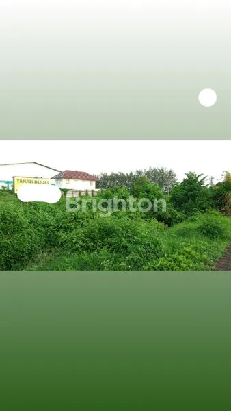 image LAHAN LUAS DEKAT TOL BALI MANDARA, SHM (2)