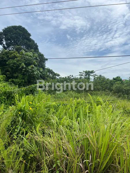 TANAH STRATEGIS DI PINGGIR JALAN POROS BERAU