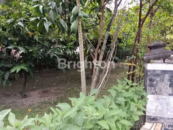 image JUAL RUMAH BESAR DAN PANJANG BESERTA KIOS (6)