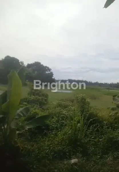 image TANAH HOT PREMIUM (5)