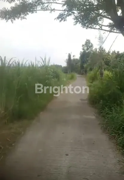 image TANAH HOT PREMIUM (6)