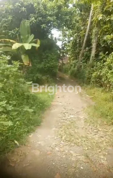 image TANAH HOT PREMIUM (4)