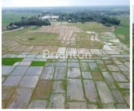 image TANAH LUAS STRATEGIS COCOK UNTUK INDUSTRI DAN PEMUKIMAN  (4)