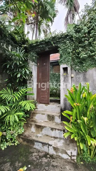 image PEACEFUL TROPICAL 2-BEDROOM VILLA WITH PRIVATE POOL – UMALAS (8)