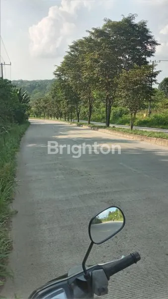 image LAHAN PERJAS  (3)