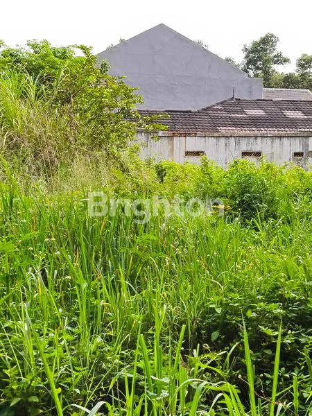 image TANAH LUAS 367M² DI DEPOK, DEKAT AL-AZHAR & ALUN-ALUN (2)