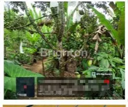 image TANAH STRATEGIS DEKAT AREA WISATA BALI (3)