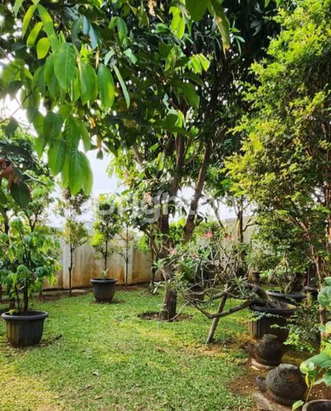 image RUMAH ASRI DAN NYAMA DI NUSA INDAH RESIDENCE - BOGOR (4)