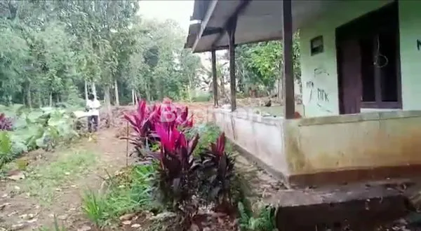 image INVESTASI TANAH BOGOR, 2.680M², LOKASI NYAMAN DEKAT FASILITAS (6)