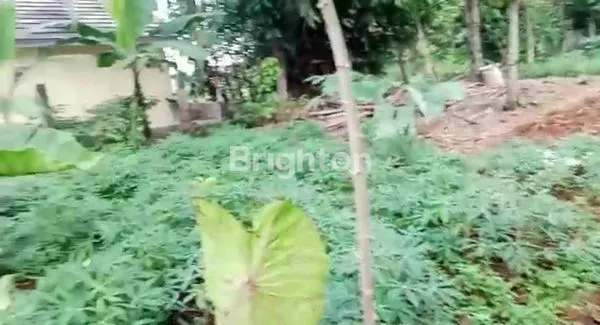 image INVESTASI TANAH BOGOR, 2.680M², LOKASI NYAMAN DEKAT FASILITAS (3)