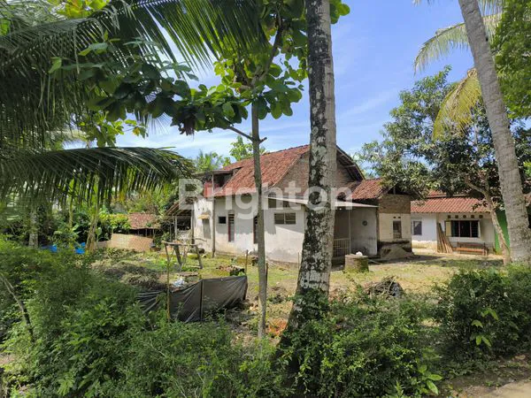 image MURAH BANGET....TANAH LUAS 388 M² BONUS RUMAH, DEKAT BANDARA YIA (1)