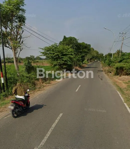image TANAH LUAS DEKAT EXIT TOL CERME GRESIK. (2)