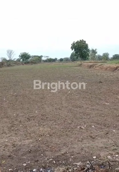 image TANAH LUAS DEKAT EXIT TOL CERME GRESIK. (3)