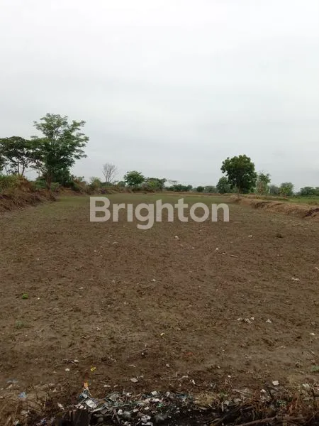 image TANAH LUAS DEKAT EXIT TOL CERME GRESIK. (4)