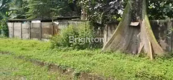 image DIJUAL TANAH LUAS DI CILEUNGSI (5)