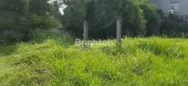 image DIJUAL TANAH LUAS DI CILEUNGSI (7)