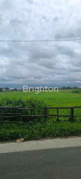 image DIJUAL TANAH SHM COCOK BUAT WARUNG SAWAH TIMUR SAWOJAJAR 2 (4)