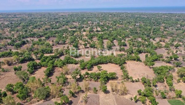 image SIA JUAL TANAH DATAR (1)