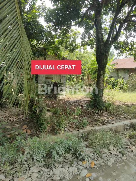 image TANAH LUAS 385M² DI TANJUNG BERINGIN AKSES MOBIL (1)