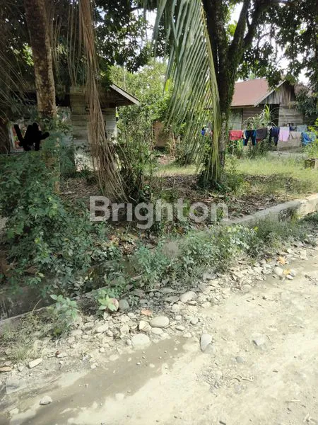 image TANAH LUAS 385M² DI TANJUNG BERINGIN AKSES MOBIL (2)