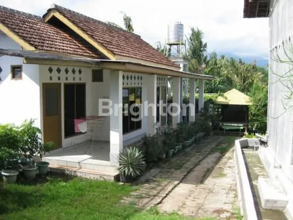 image TANAH PERKEBUNAN 1,2 KM DARI PANTAI SERIRIT, BULELENG (3)