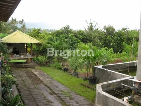 image TANAH PERKEBUNAN 1,2 KM DARI PANTAI SERIRIT, BULELENG (1)