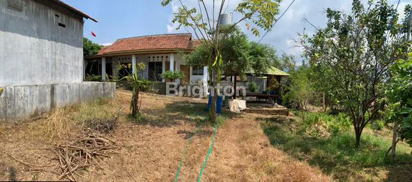 image TANAH PERKEBUNAN 1,2 KM DARI PANTAI SERIRIT, BULELENG (2)