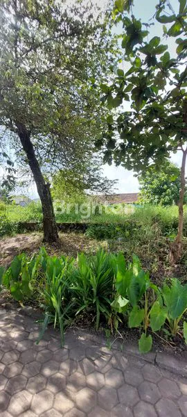 image TANAH SIAP BANGUN DI KARANGPLOSO BATU LUAS 1325M²   (5)