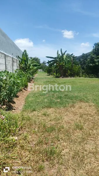 image TANAH LUAS 2.459M² DI KALIOMBO, KEDIRI (3)