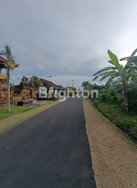image TANAH KAVLING PREMIUM DI SELEMADEG TIMUR, TABANAN – VIEW ALAM ASRI DEKAT PANTAI KELECUNG (4)