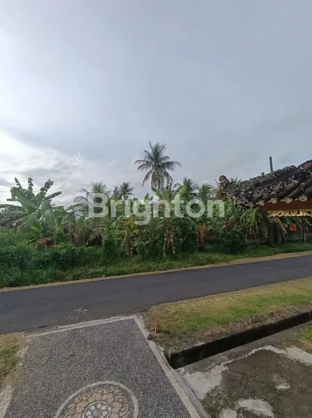 image TANAH KAVLING PREMIUM DI SELEMADEG TIMUR, TABANAN – VIEW ALAM ASRI DEKAT PANTAI KELECUNG (1)