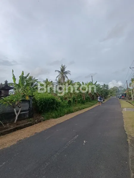 image TANAH KAVLING PREMIUM DI SELEMADEG TIMUR, TABANAN – VIEW ALAM ASRI DEKAT PANTAI KELECUNG (5)