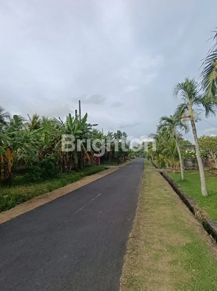 image TANAH KAVLING PREMIUM DI SELEMADEG TIMUR, TABANAN – VIEW ALAM ASRI DEKAT PANTAI KELECUNG (6)