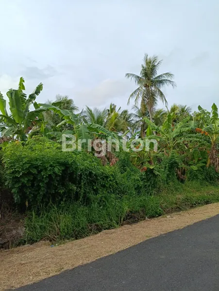 image TANAH KAVLING PREMIUM DI SELEMADEG TIMUR, TABANAN – VIEW ALAM ASRI DEKAT PANTAI KELECUNG (7)