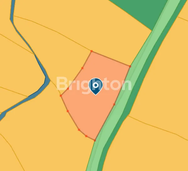 image TANAH MURAH DAN BAGUS DI SELEMADEG TABANAN: LAHAN STRATEGIS VIEW ALAM AUTENTIK BALI (4)