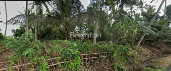 image TANAH MURAH DAN BAGUS DI SELEMADEG TABANAN: LAHAN STRATEGIS VIEW ALAM AUTENTIK BALI (2)