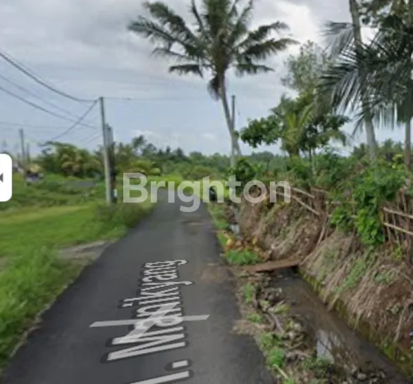 image TANAH MURAH DAN BAGUS DI SELEMADEG TABANAN: LAHAN STRATEGIS VIEW ALAM AUTENTIK BALI (1)