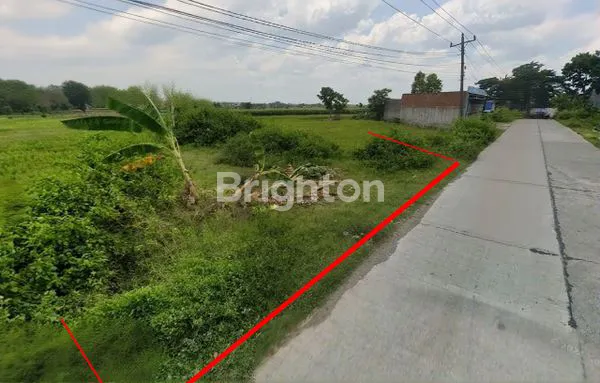 image INVESTASI MENGUNTUNGKAN! TANAH SAWAH ZONA KUNING NGEMPLAK, LEBAR DEPAN 20M, LEGALITAS AMAN (1)