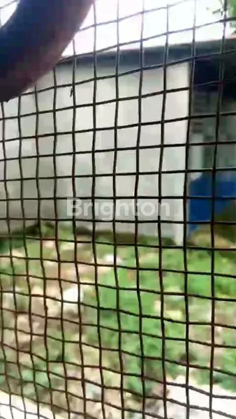 image RUMAH DI KOTA MEDAN  (8)