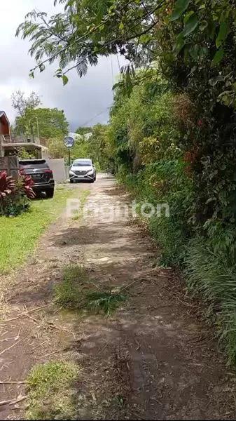 image TANAH STRATEGIS VIEW DANAU BUYAN BEDUGUL (1)