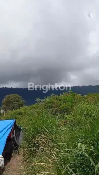 image TANAH STRATEGIS VIEW DANAU BUYAN BEDUGUL (2)