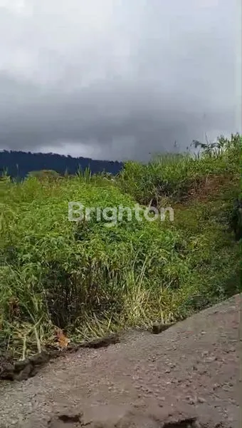 image TANAH STRATEGIS VIEW DANAU BUYAN BEDUGUL (3)